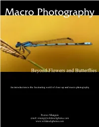 Macro Photography