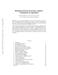 Randomized Numerical Linear Algebra: Foundations & Algorithms
