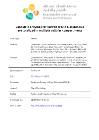 Candidate Enzymes for Saffron Crocin Biosynthesis Are Localized in Multiple Cellular Compartments