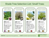 Shade Tree Selection List: Small Trees