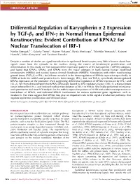 Differential Regulation of Karyopherin Α 2 Expression by TGF-Β1 and IFN-Γ in Normal Human Epidermal Keratinocytes