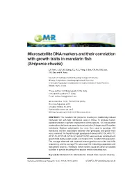 Microsatellite DNA Markers and Their Correlation with Growth Traits in Mandarin Fish (Siniperca Chuatsi)
