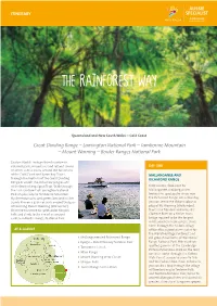 7 Days the Rainforest