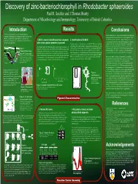Discovery of Zinc-Bacteriochlorophyll in Rhodobacter Sphaeroides Paul R