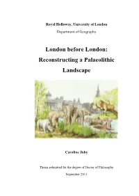 Reconstructing a Palaeolithic Landscape