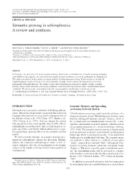 Semantic Priming in Schizophrenia: a Review and Synthesis