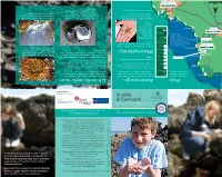 St Abbs & Eyemouth Life on the Rocky Shore Map Before You Go... When