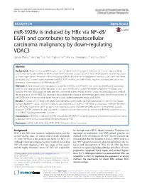 Mir-3928V Is Induced by Hbx Via NF-Κb/EGR1 and Contributes To