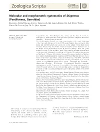 Molecular and Morphometric Systematics of Diapterus