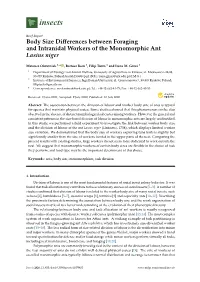Body Size Differences Between Foraging and Intranidal Workers Of