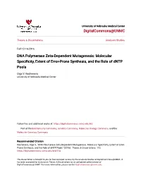 DNA Polymerase Zeta-Dependent Mutagenesis: Molecular Specificity, Extent of Error-Prone Synthesis, and the Role of Dntp Pools