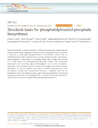 Structural Basis for Phosphatidylinositol-Phosphate Biosynthesis
