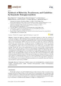Synthesis of Ribavirin, Tecadenoson, and Cladribine by Enzymatic Transglycosylation