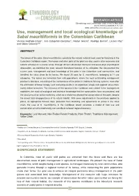 Use, Management and Local Ecological Knowledge of Sabal