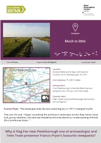 Flag Fen Viewpoint.Pdf