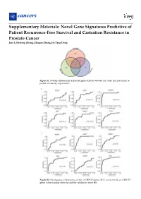 Novel Gene Signatures Predictive of Patient Recurrence-Free Survival and Castration Resistance in Prostate Cancer Jun A, Baotong Zhang, Zhiqian Zhang, Jin-Tang Dong