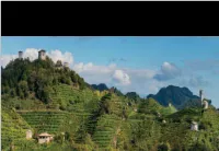 Prosecco-Way Beyond Bubbles-Presented by Alan Tardi