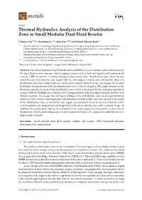 Thermal Hydraulics Analysis of the Distribution Zone in Small Modular Dual Fluid Reactor