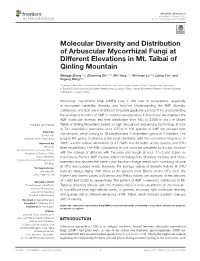 Molecular Diversity and Distribution of Arbuscular Mycorrhizal Fungi at Different Elevations in Mt