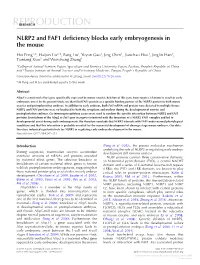 NLRP2 and FAF1 Deficiency Blocks Early Embryogenesis in the Mouse