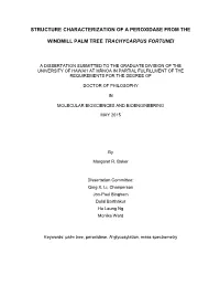 Structure Characterization of a Peroxidase from The