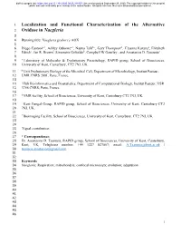 Localization and Functional Characterization of the Alternative Oxidase in Naegleria