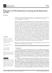 Regulation of DNA Replication Licensing and Re-Replication by Cdt1