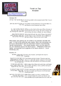 Torah on Tap Amalek! 2008/03/Finding -Amalek.Html