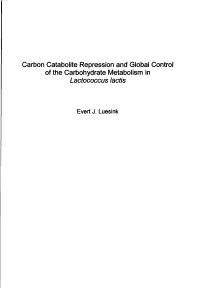 Carbon Catabolite Repression and Global Control of The
