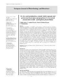 In Vitro Seed Germination, Somatic Embryogenesis and Protocorm