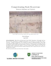 Northeast Swale Document Review and Analysis