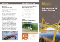 Dog Walking on the Nature Reserves Are a Haven for a Broad Array of Relating to Dog Walking