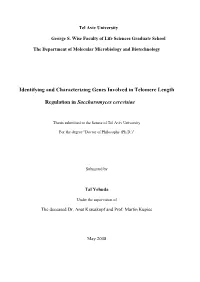 Identifying and Characterizing Genes Involved in Telomere Length