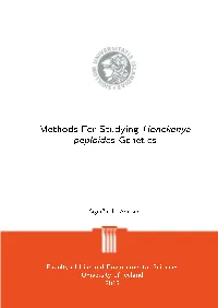 Methods for Studying Honckenya Peploides Genetics