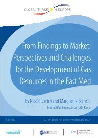 Perspectives and Challenges for the Development of Gas Resources in the East Med