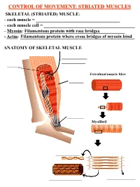 Striated Muscles