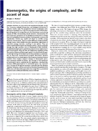 Bioenergetics, the Origins of Complexity, and the Ascent of Man