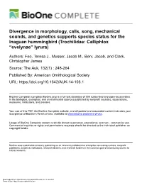 Divergence in Morphology, Calls, Song, Mechanical Sounds, and Genetics Supports Species Status for the Inaguan Hummingbird (Trochilidae: Calliphlox “Evelynae” Lyrura)