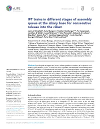 IFT Trains in Different Stages of Assembly Queue at the Ciliary Base