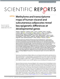 Methylome and Transcriptome Maps of Human Visceral and Subcutaneous