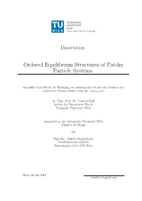 Ordered Equilibrium Structures of Patchy Particle Systems