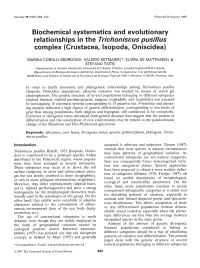 Biochemical Systematics and Evolutionary Relationships in the Trichoniscus Pusillus Complex (Crustacea, Isopoda, Oniscidea)
