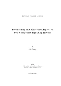 Evolutionary and Functional Aspects of Two-Component Signalling Systems