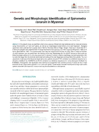 Genetic and Morphologic Identification of Spirometra Ranarum in Myanmar