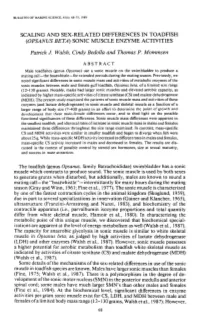 (&lt;I&gt;Opsanus Beta&lt;/I&gt;) Sonic Muscle Enzyme Activities