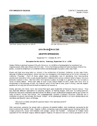John Divola | Amir Zaki DESPITE INTENSIONS