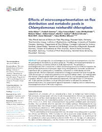 Effects of Microcompartmentation on Flux Distribution and Metabolic Pools