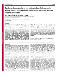 Heteromeric Interactions, Subcellular Localisation and Endosome- Related Functions