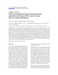 Original Article Hydroxycamptothecin-Induced Apoptotic Gene Expression Profiling by PCR Array in Human Tenon’S Capsule Fibroblasts