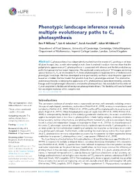 Phenotypic Landscape Inference Reveals Multiple Evolutionary Paths to C4 Photosynthesis